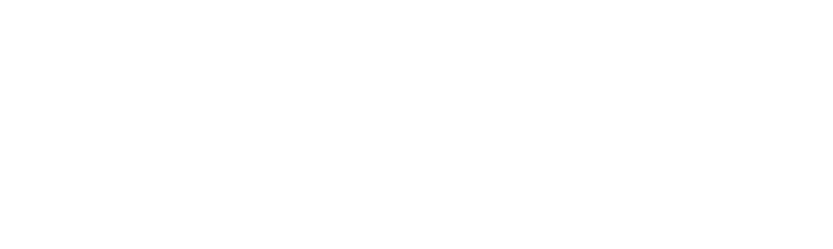 Sekler Levi Law